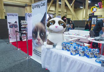 grumpy cat