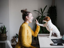 Frau gibt im Büro ihrem Hund ein Highfive