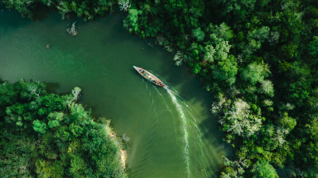Ein Kanu fährt über einen Fluss durch den Dschungel